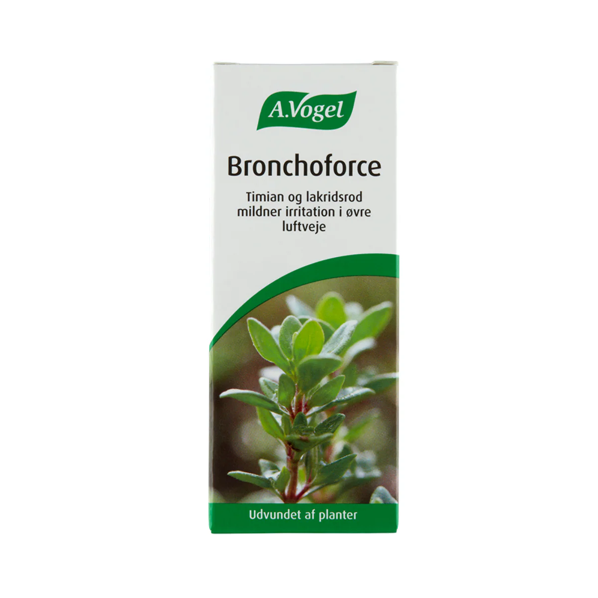 Miniaturebillede 1